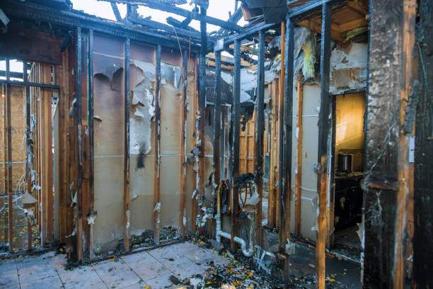 Professional Soot Cleanup technician working in Jasper, TN